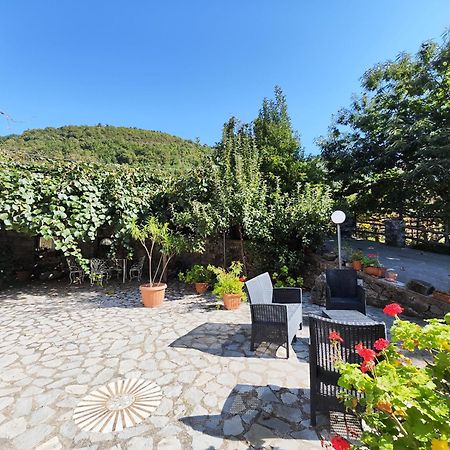 Il Vigneto Villa Tramonti Kültér fotó